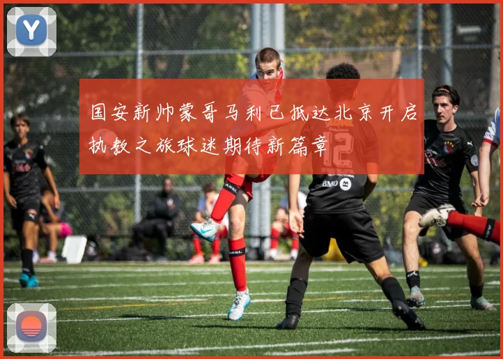 国安新帅蒙哥马利已抵达北京开启执教之旅球迷期待新篇章